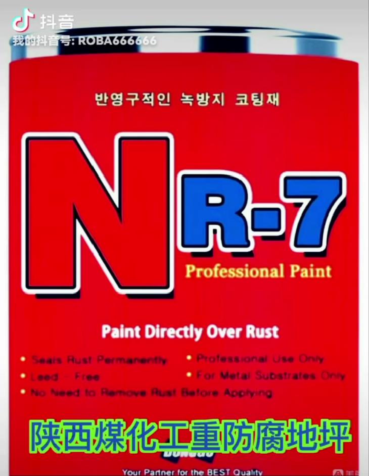 NR-7氟硅·防腐涂料（單組份）